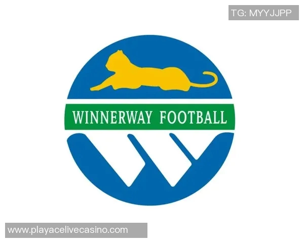 广东宏远足球俱乐部崛起之路探索与发展新篇章 广东宏远足球俱乐部崛起之路探索与发展新篇章